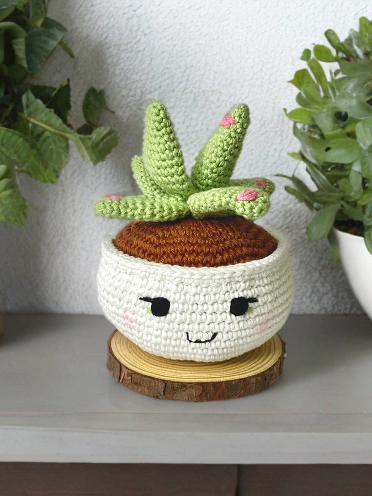 Crochet succelent - large