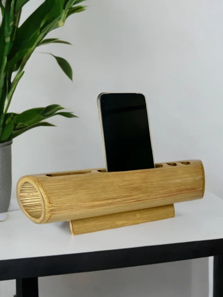 Bamboo amplifier cum organiser