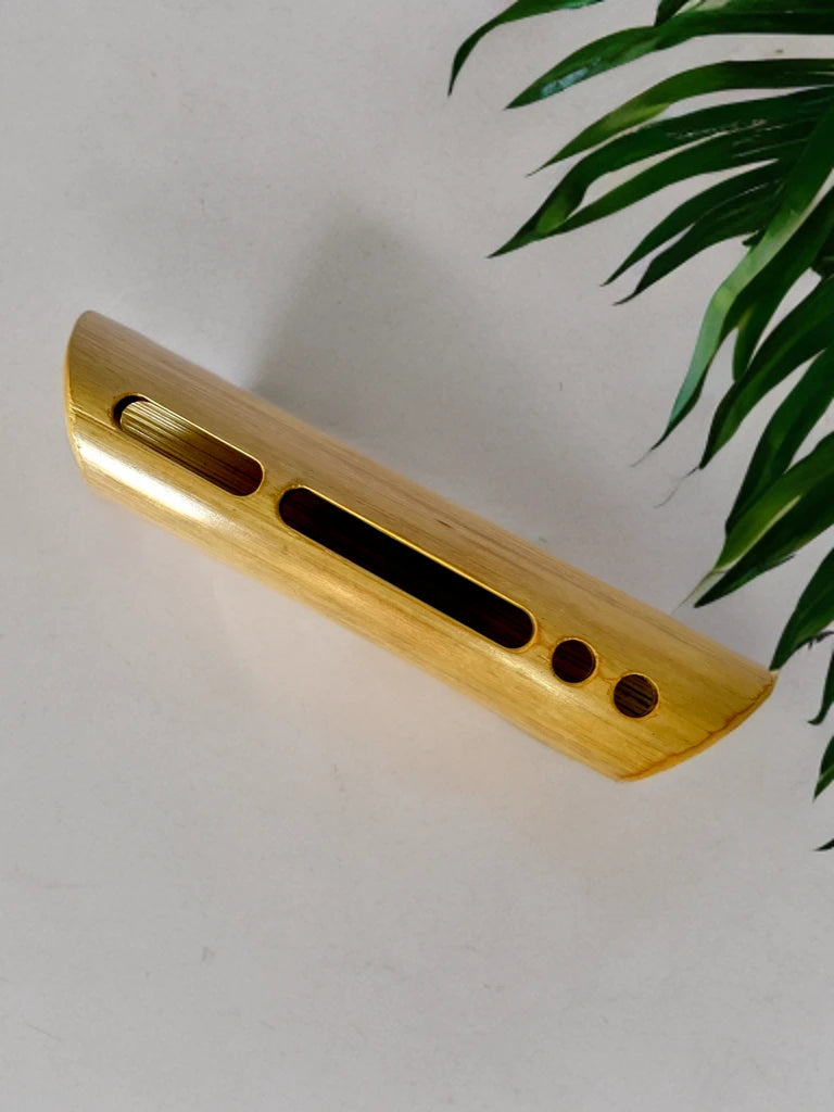 Bamboo amplifier cum organiser