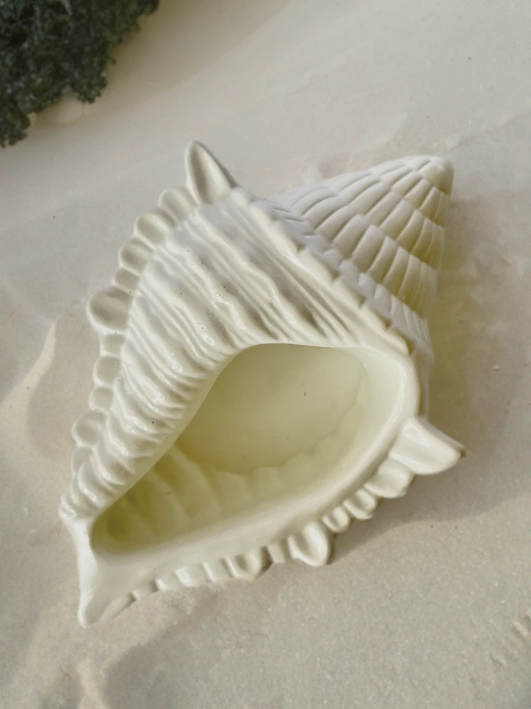 Shell Trinket Tray